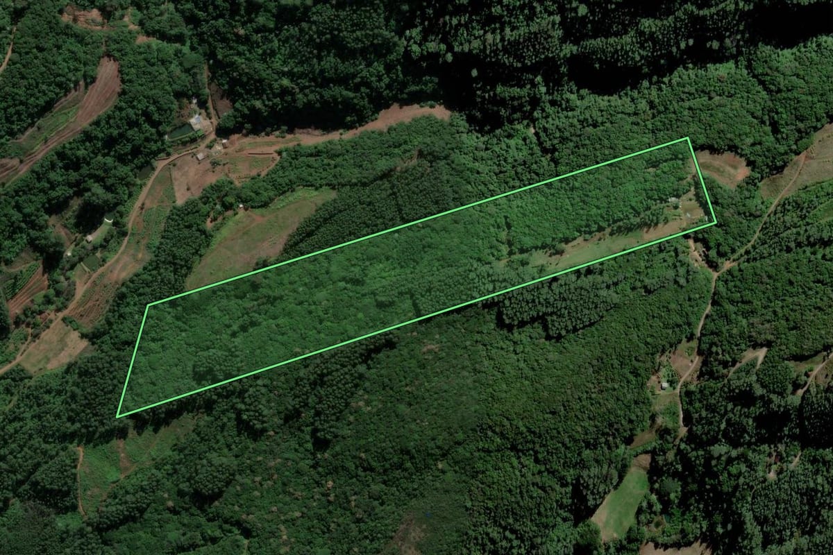 Imagem de satélite do imóvel rural em Alto Feliz (RS), com o contorno declarado no CAR desenhado por cima.