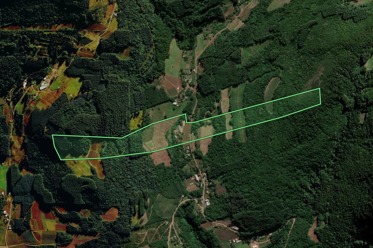 Imagem de satélite do imóvel rural em Alto Feliz (RS), com o contorno declarado no CAR desenhado por cima.