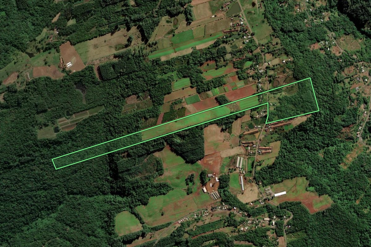 Imagem de satélite do imóvel rural em Alto Feliz (RS), com o contorno declarado no CAR desenhado por cima.
