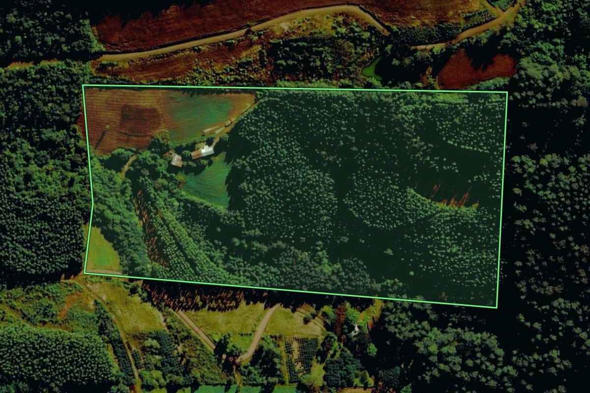 Imagem de satélite do imóvel rural em Alto Feliz (RS), com o contorno declarado no CAR desenhado por cima.