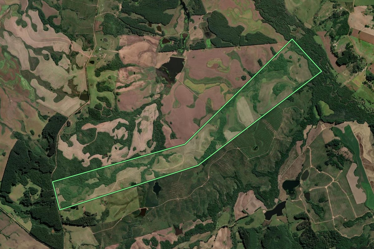 Imagem de satélite do imóvel rural em Amaral Ferrador (RS), com o contorno declarado no CAR desenhado por cima.