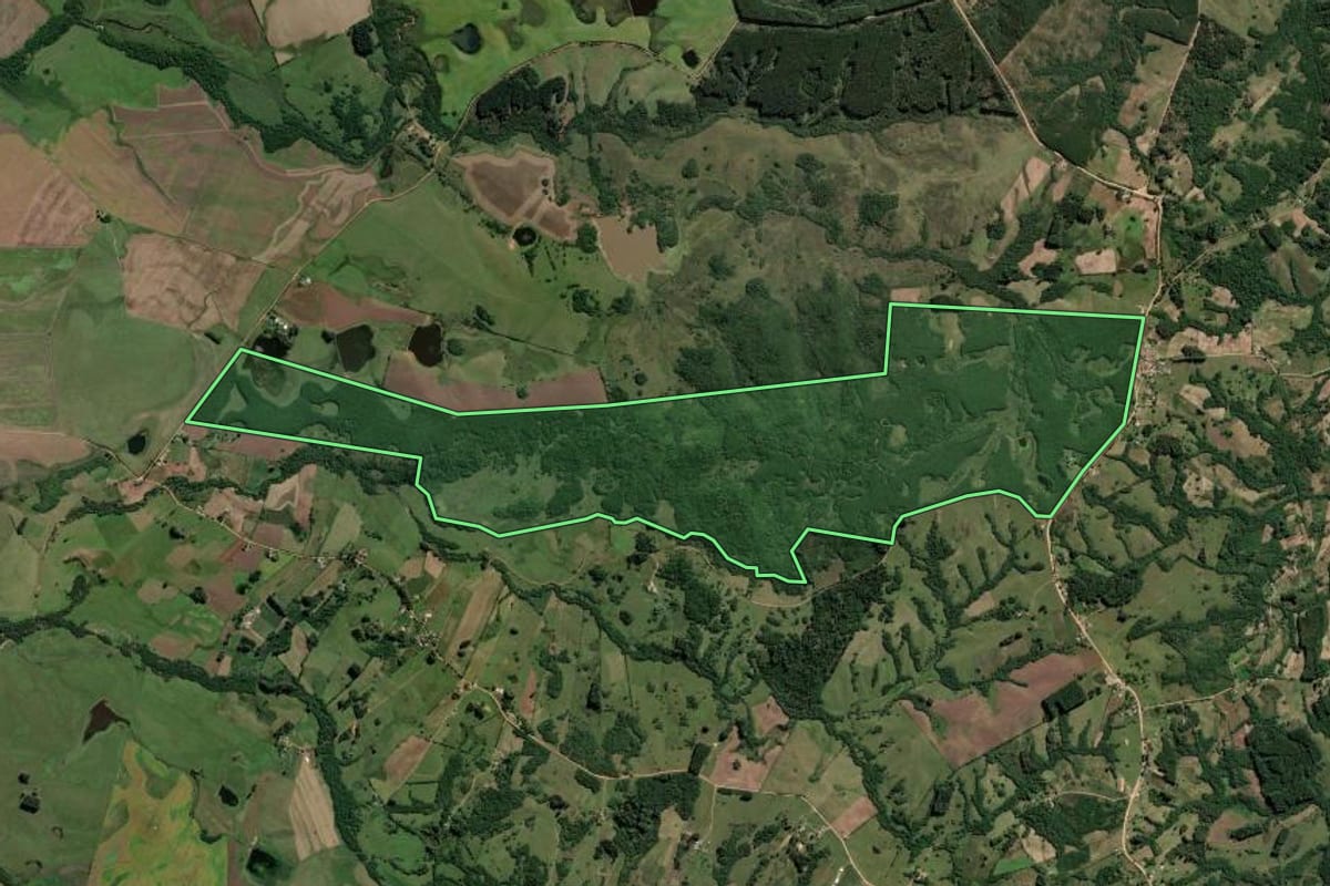 Imagem de satélite do imóvel rural em Amaral Ferrador (RS), com o contorno declarado no CAR desenhado por cima.