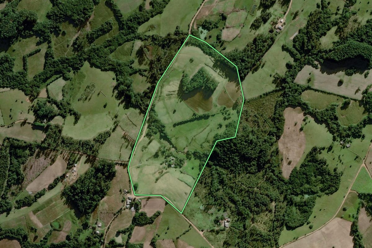 Imagem de satélite do imóvel rural em Amaral Ferrador (RS), com o contorno declarado no CAR desenhado por cima.