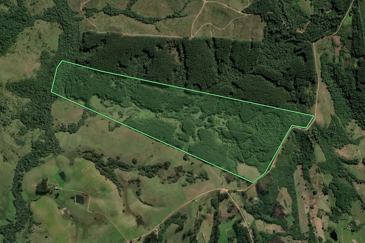 Imagem de satélite do imóvel rural em Amaral Ferrador (RS), com o contorno declarado no CAR desenhado por cima.