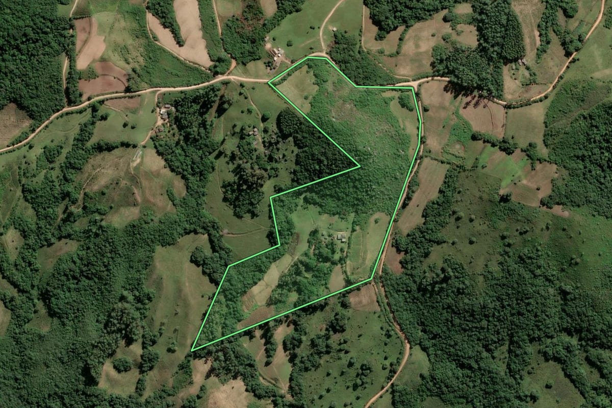 Imagem de satélite do imóvel rural em Amaral Ferrador (RS), com o contorno declarado no CAR desenhado por cima.