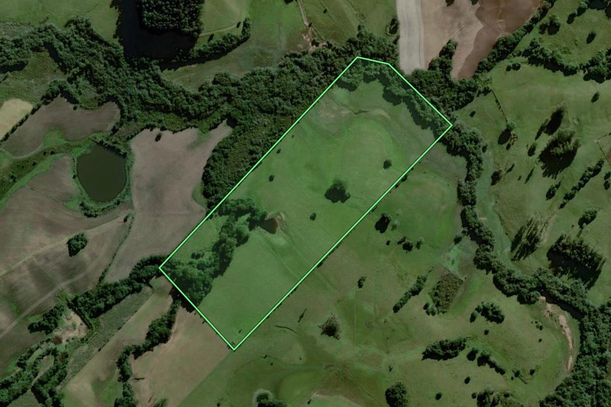 Imagem de satélite do imóvel rural em Amaral Ferrador (RS), com o contorno declarado no CAR desenhado por cima.