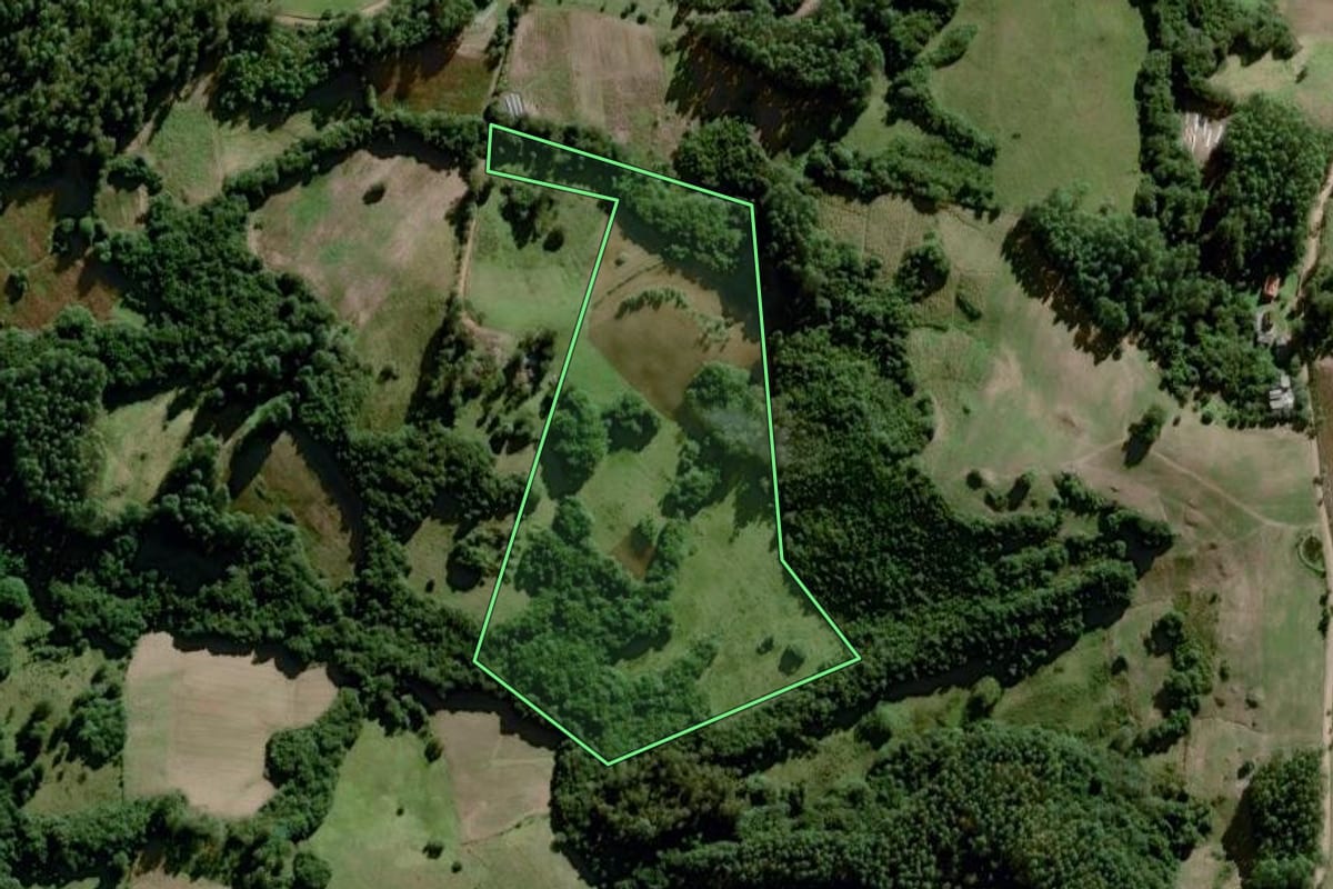 Imagem de satélite do imóvel rural em Amaral Ferrador (RS), com o contorno declarado no CAR desenhado por cima.