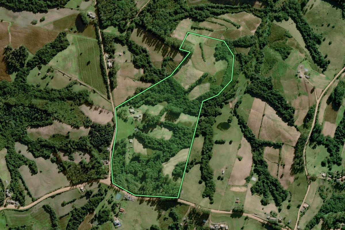 Imagem de satélite do imóvel rural em Amaral Ferrador (RS), com o contorno declarado no CAR desenhado por cima.
