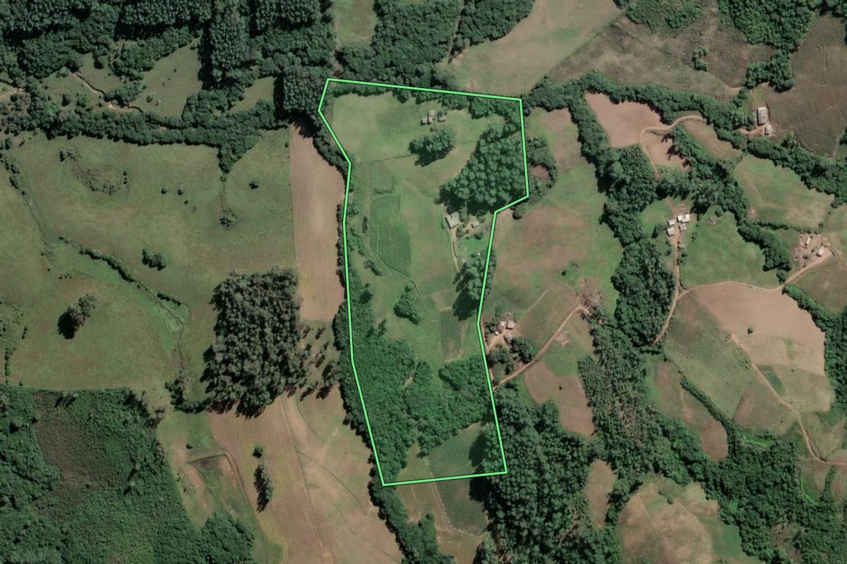 Imagem de satélite do imóvel rural em Amaral Ferrador (RS), com o contorno declarado no CAR desenhado por cima.
