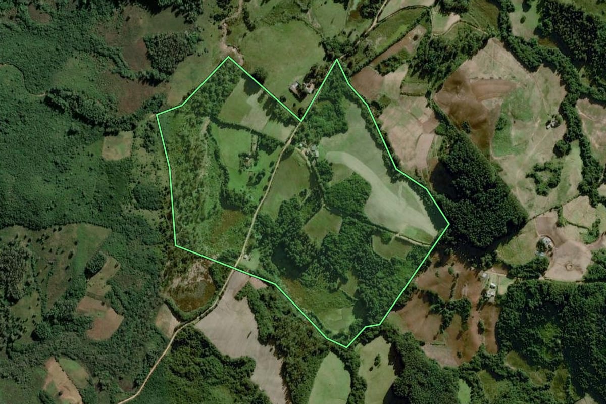 Imagem de satélite do imóvel rural em Amaral Ferrador (RS), com o contorno declarado no CAR desenhado por cima.