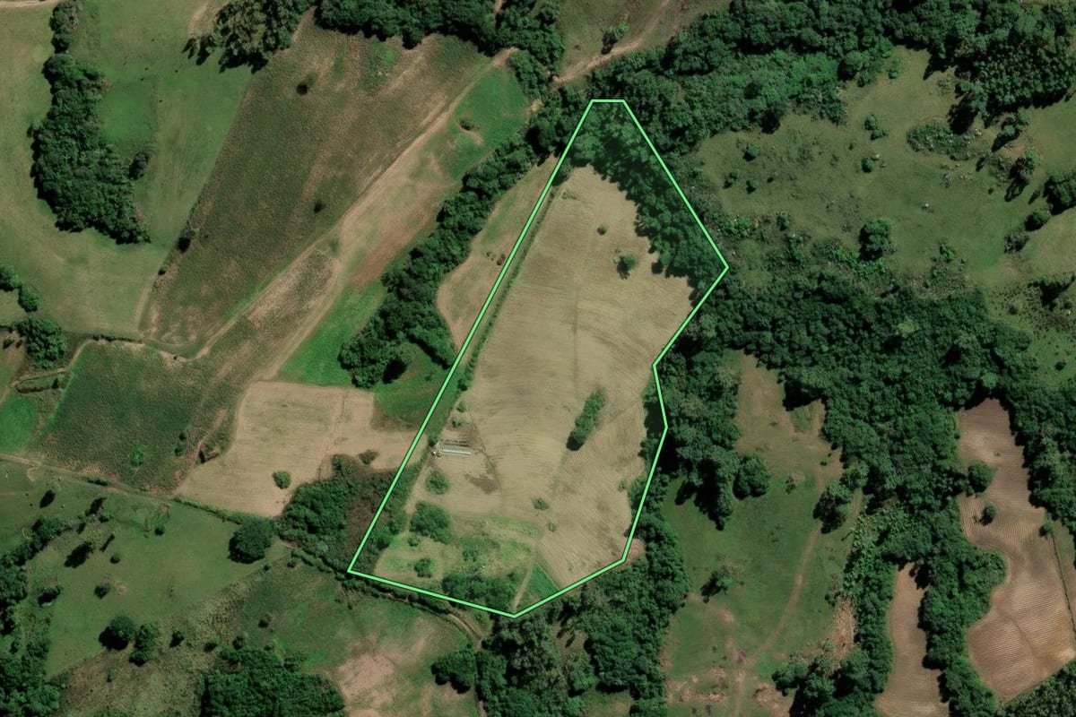 Imagem de satélite do imóvel rural em Amaral Ferrador (RS), com o contorno declarado no CAR desenhado por cima.