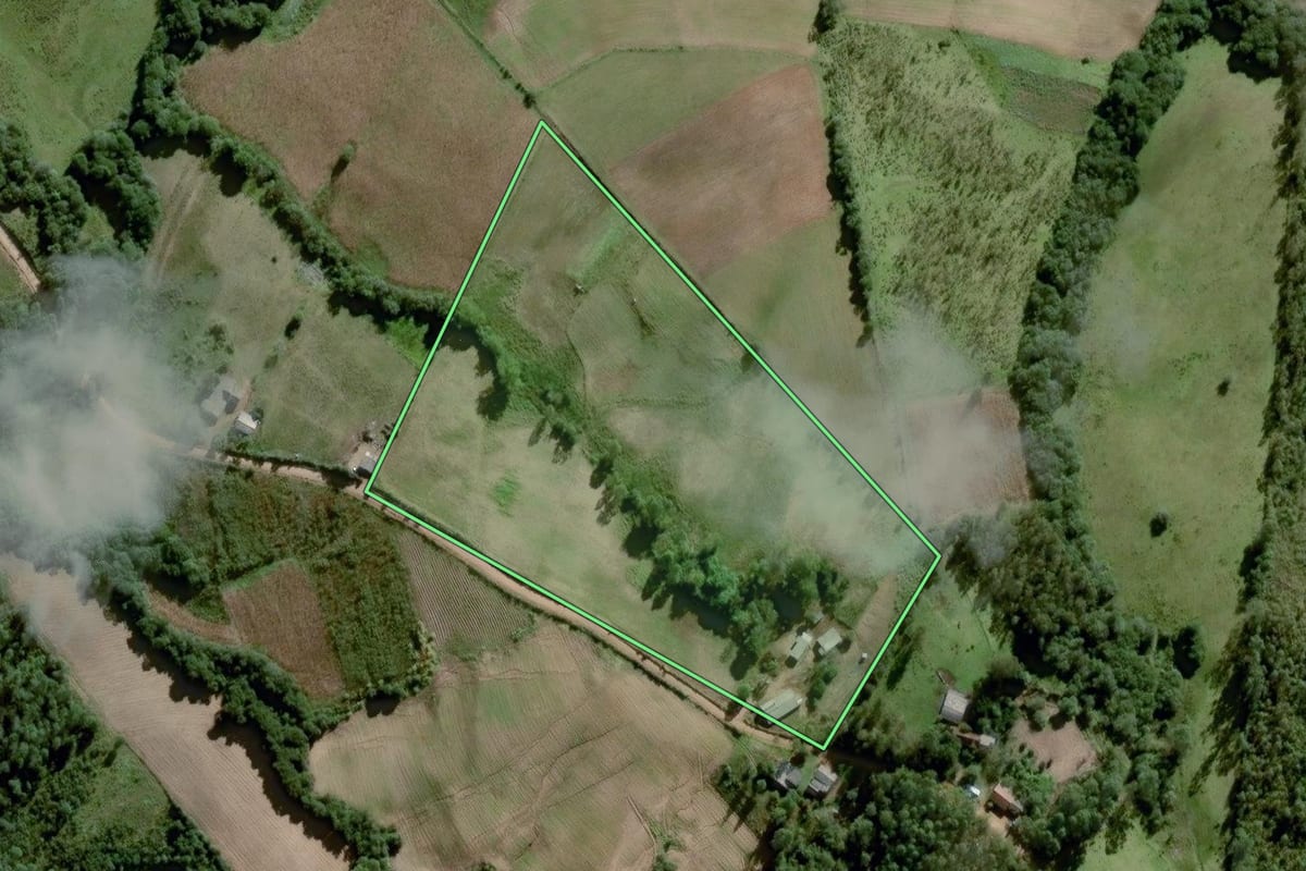 Imagem de satélite do imóvel rural em Amaral Ferrador (RS), com o contorno declarado no CAR desenhado por cima.