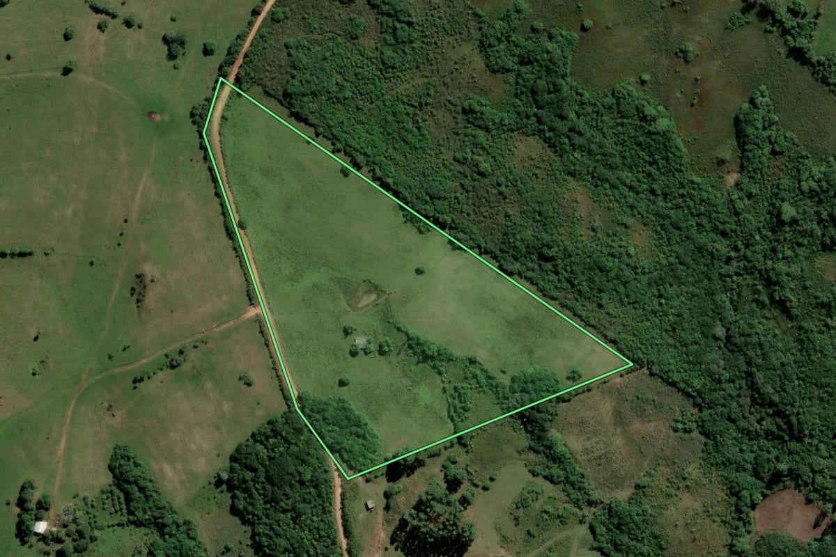 Imagem de satélite do imóvel rural em Amaral Ferrador (RS), com o contorno declarado no CAR desenhado por cima.