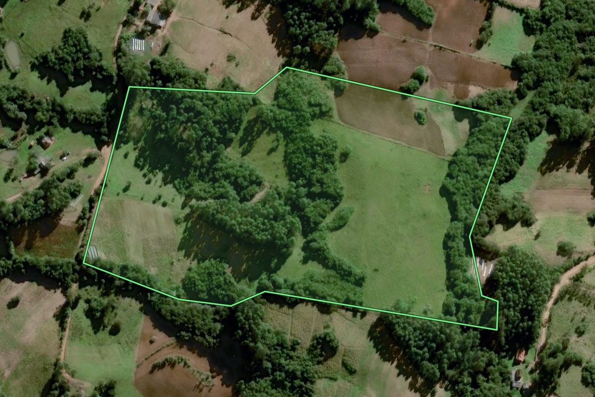 Imagem de satélite do imóvel rural em Amaral Ferrador (RS), com o contorno declarado no CAR desenhado por cima.
