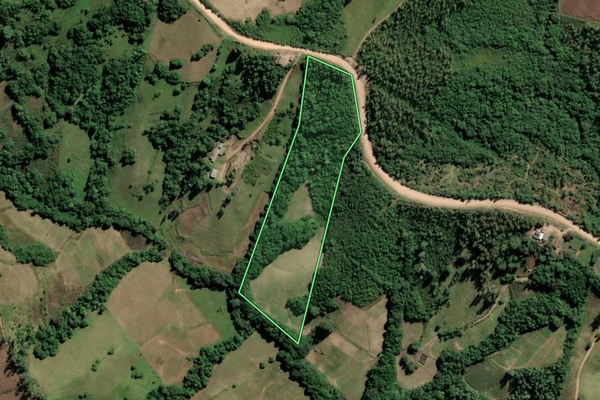 Imagem de satélite do imóvel rural em Amaral Ferrador (RS), com o contorno declarado no CAR desenhado por cima.