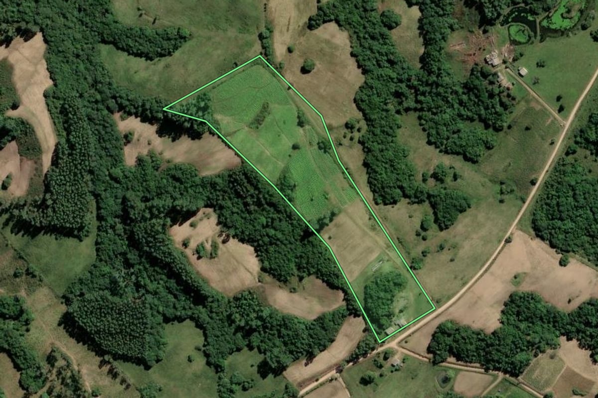 Imagem de satélite do imóvel rural em Amaral Ferrador (RS), com o contorno declarado no CAR desenhado por cima.