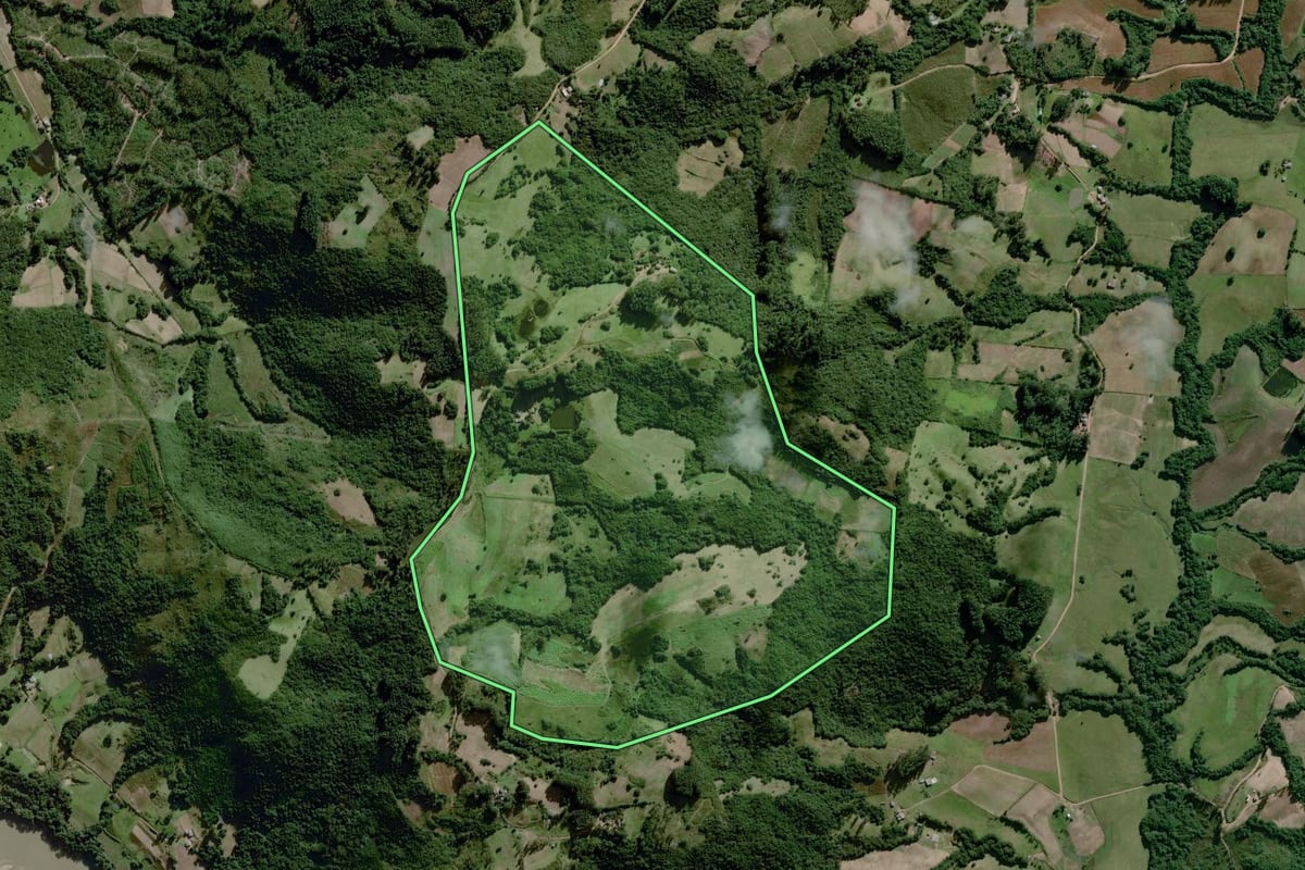 Imagem de satélite do imóvel rural em Amaral Ferrador (RS), com o contorno declarado no CAR desenhado por cima.