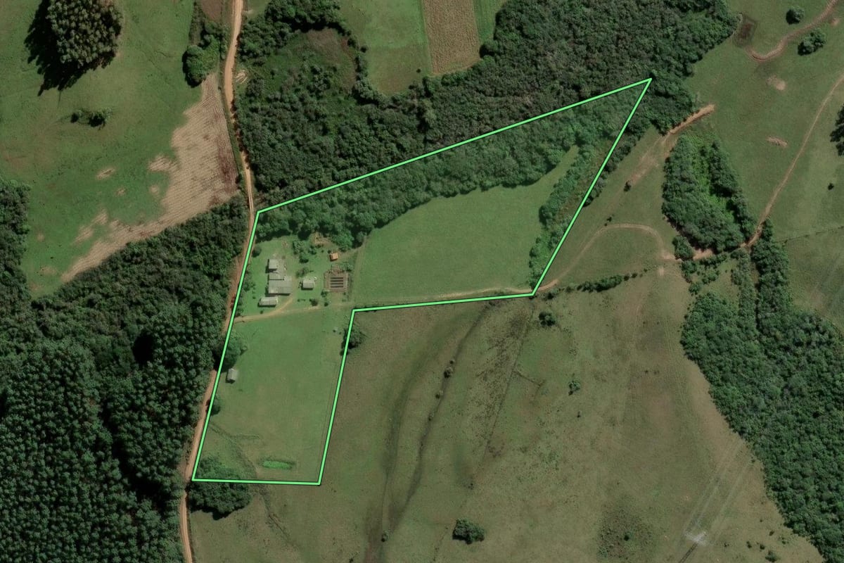 Imagem de satélite do imóvel rural em Amaral Ferrador (RS), com o contorno declarado no CAR desenhado por cima.