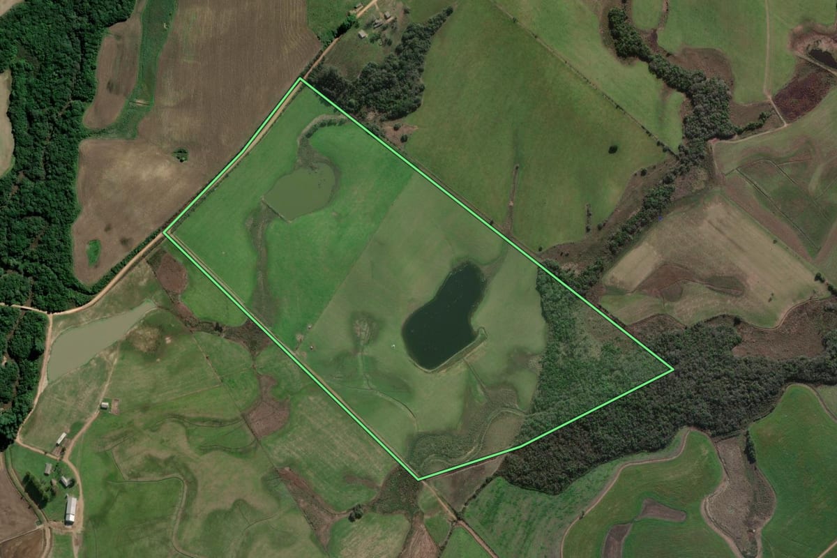 Imagem de satélite do imóvel rural em Amaral Ferrador (RS), com o contorno declarado no CAR desenhado por cima.