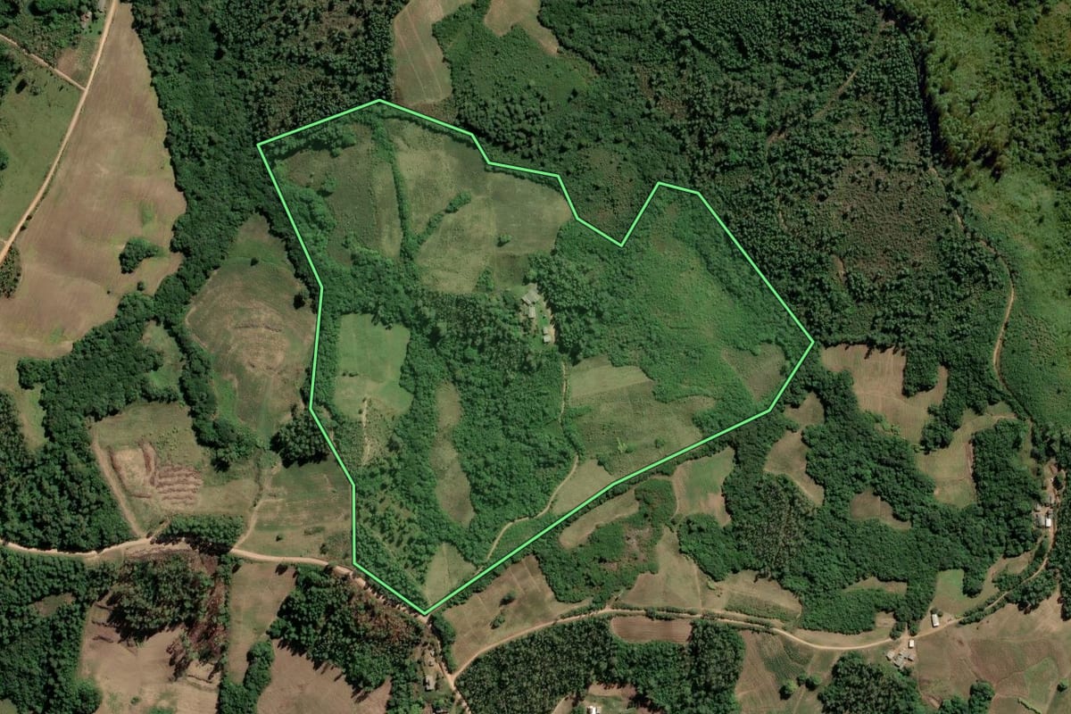 Imagem de satélite do imóvel rural em Amaral Ferrador (RS), com o contorno declarado no CAR desenhado por cima.