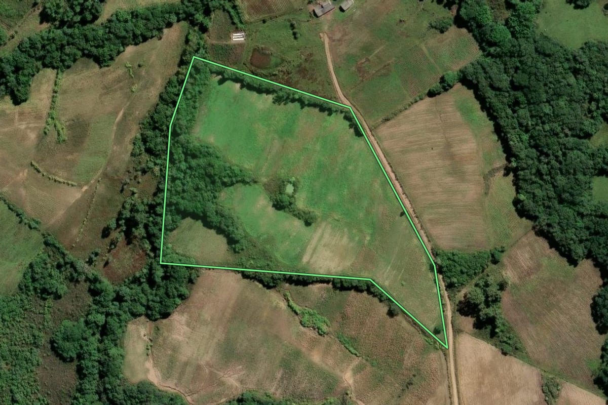 Imagem de satélite do imóvel rural em Amaral Ferrador (RS), com o contorno declarado no CAR desenhado por cima.