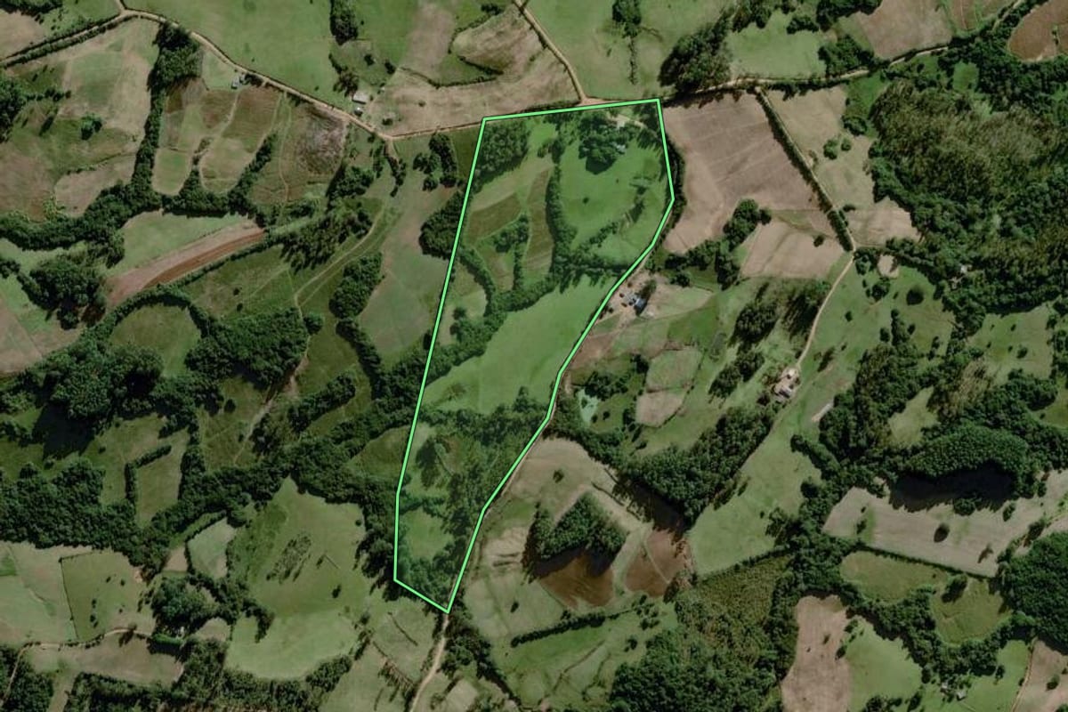 Imagem de satélite do imóvel rural em Amaral Ferrador (RS), com o contorno declarado no CAR desenhado por cima.
