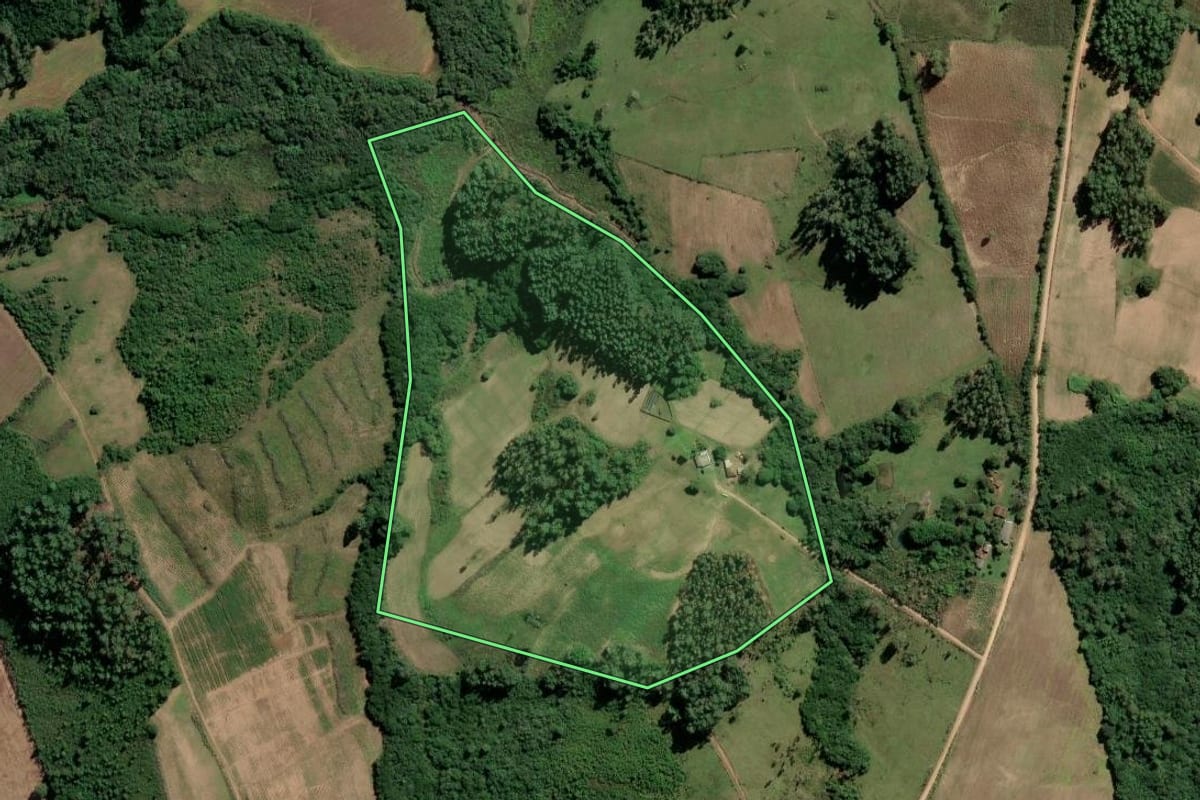Imagem de satélite do imóvel rural em Amaral Ferrador (RS), com o contorno declarado no CAR desenhado por cima.