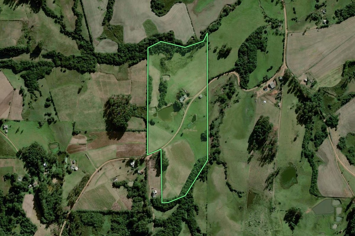 Imagem de satélite do imóvel rural em Amaral Ferrador (RS), com o contorno declarado no CAR desenhado por cima.