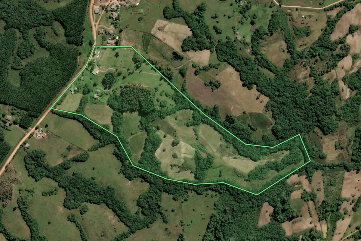 Imagem de satélite do imóvel rural em Amaral Ferrador (RS), com o contorno declarado no CAR desenhado por cima.