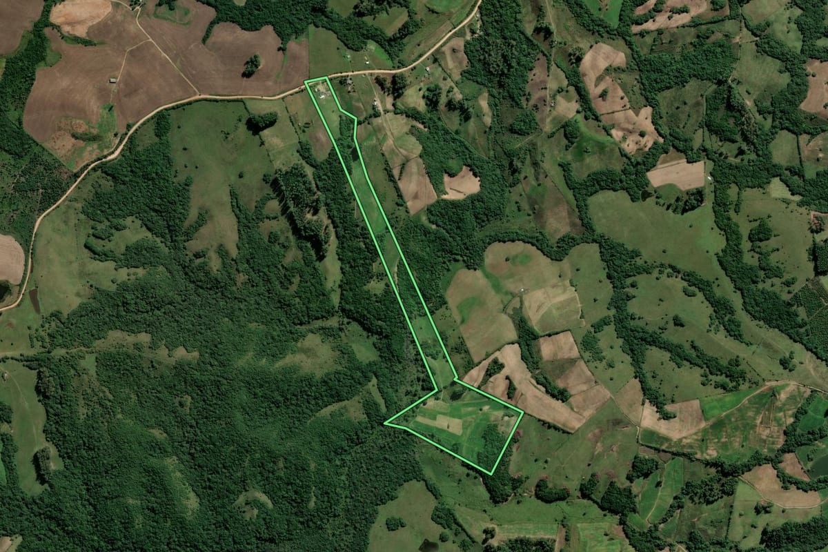 Imagem de satélite do imóvel rural em Amaral Ferrador (RS), com o contorno declarado no CAR desenhado por cima.