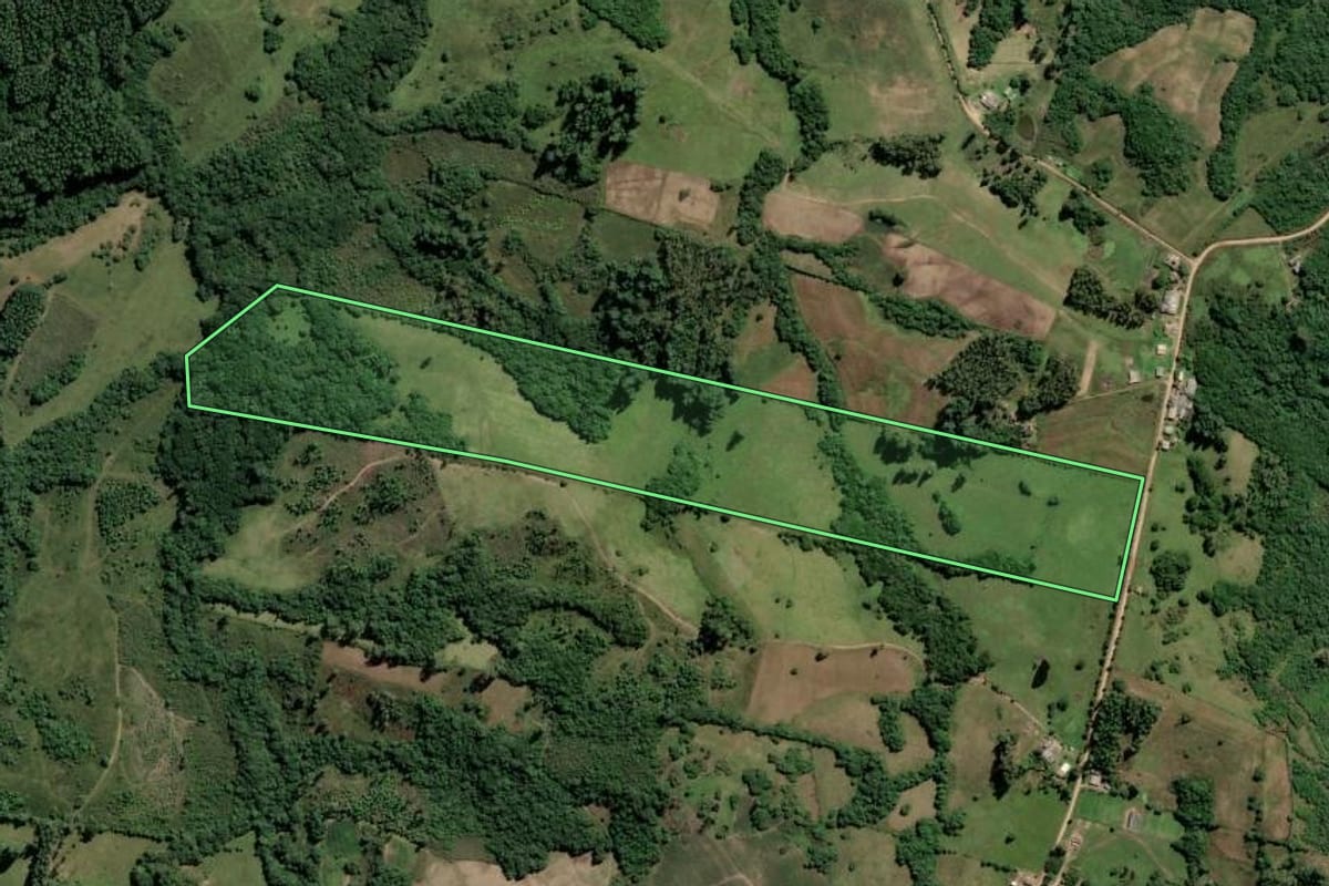 Imagem de satélite do imóvel rural em Amaral Ferrador (RS), com o contorno declarado no CAR desenhado por cima.