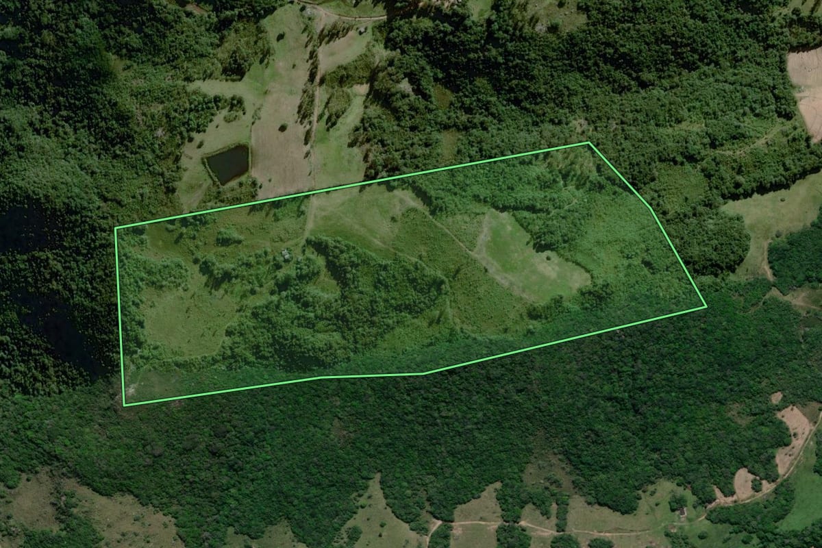 Imagem de satélite do imóvel rural em Amaral Ferrador (RS), com o contorno declarado no CAR desenhado por cima.