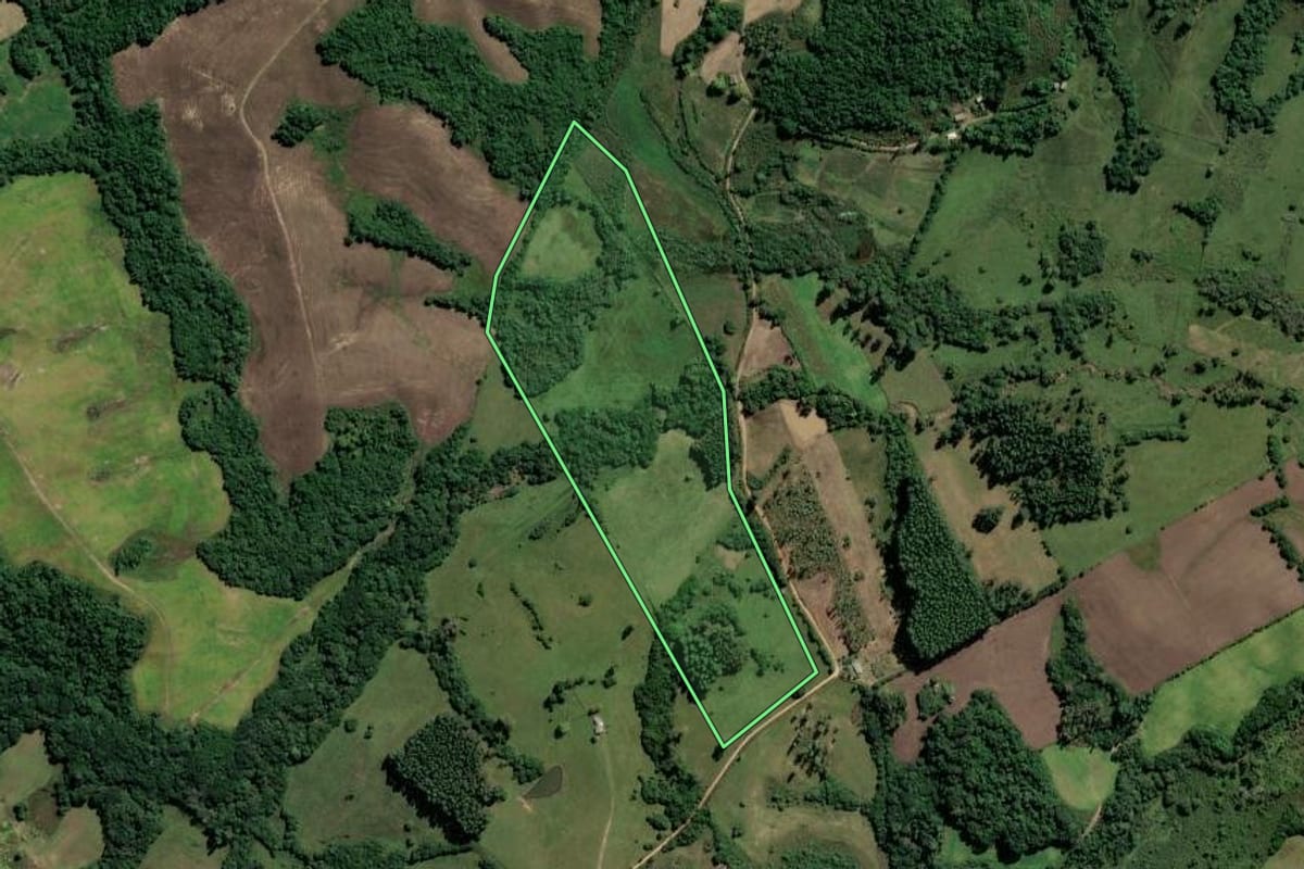 Imagem de satélite do imóvel rural em Amaral Ferrador (RS), com o contorno declarado no CAR desenhado por cima.