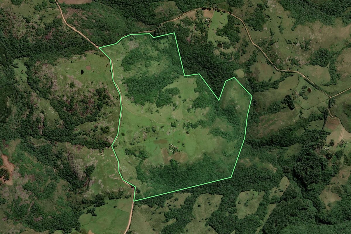 Imagem de satélite do imóvel rural em Amaral Ferrador (RS), com o contorno declarado no CAR desenhado por cima.