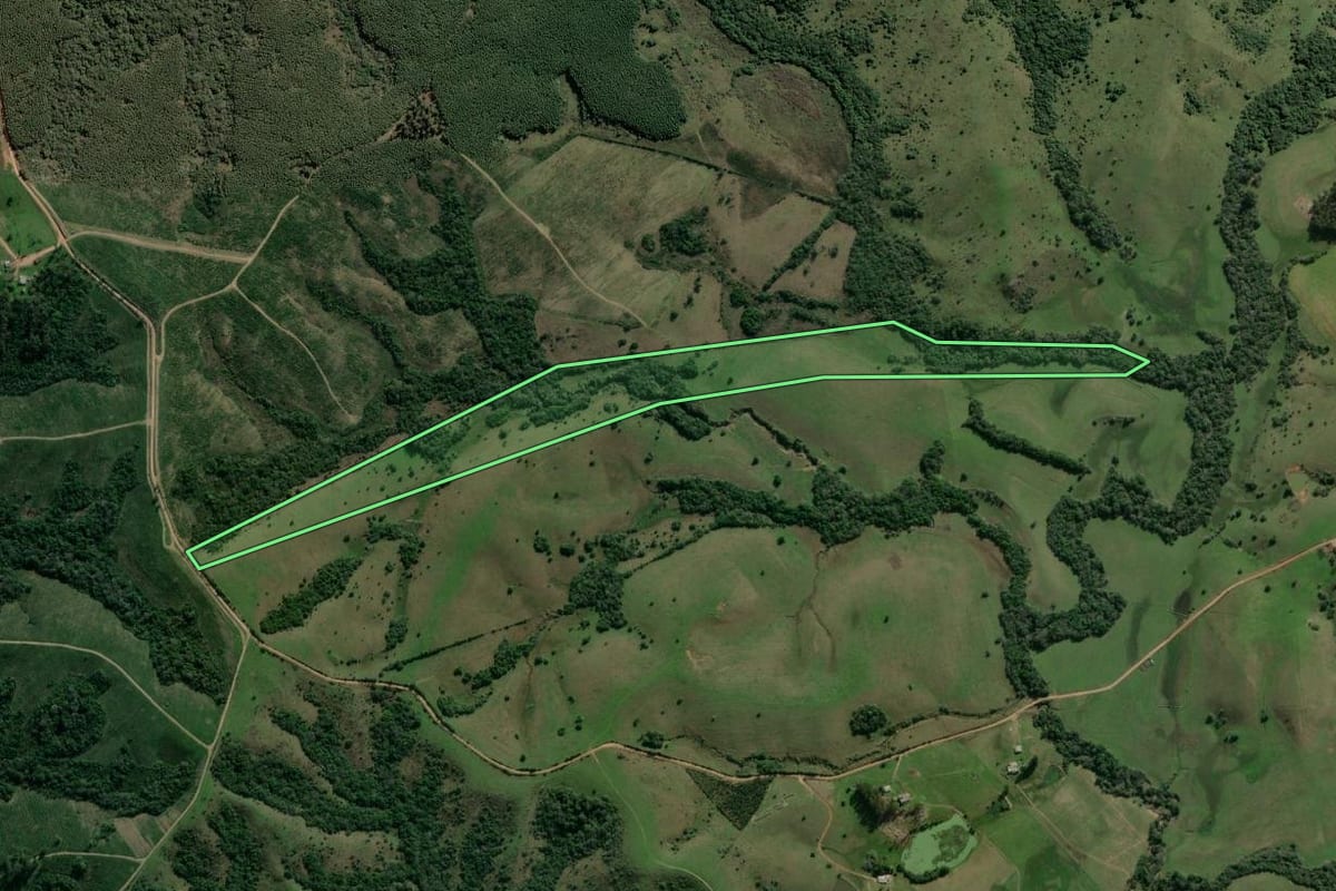 Imagem de satélite do imóvel rural em Amaral Ferrador (RS), com o contorno declarado no CAR desenhado por cima.