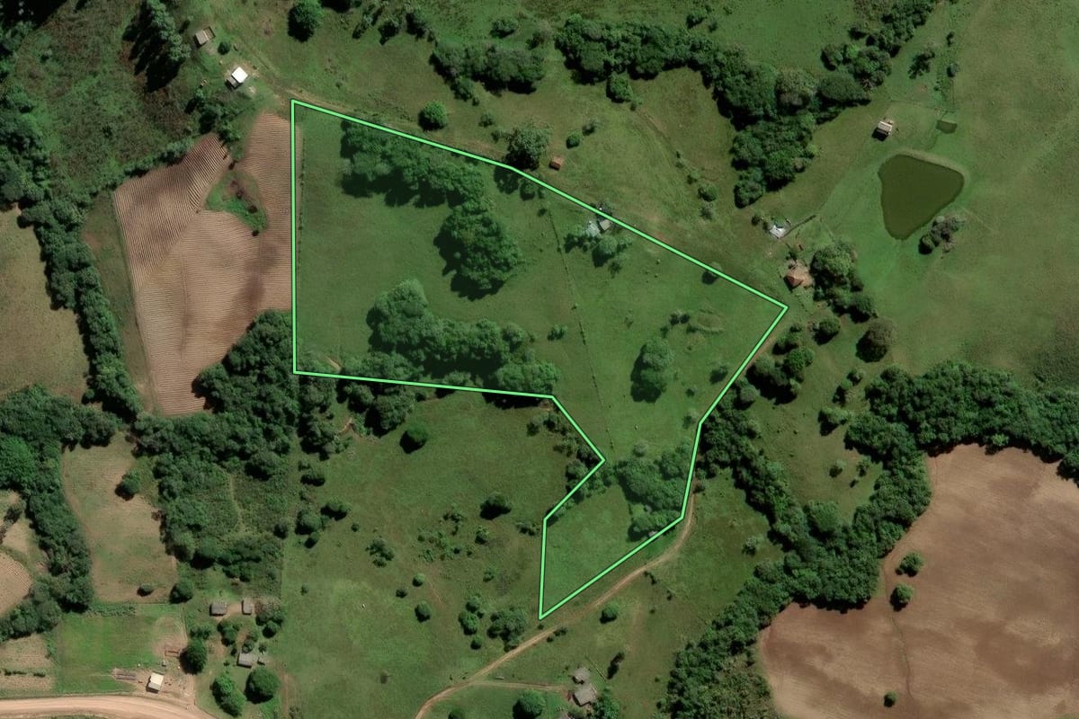 Imagem de satélite do imóvel rural em Amaral Ferrador (RS), com o contorno declarado no CAR desenhado por cima.