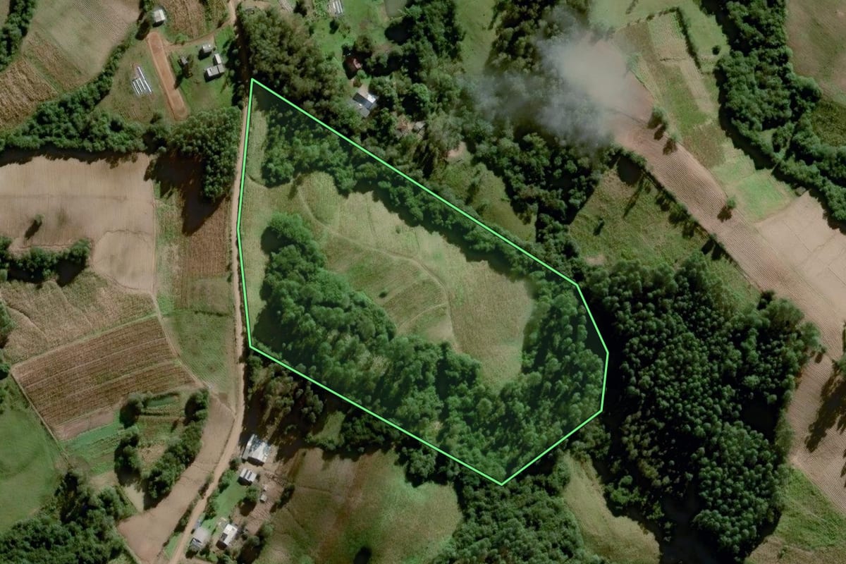 Imagem de satélite do imóvel rural em Amaral Ferrador (RS), com o contorno declarado no CAR desenhado por cima.