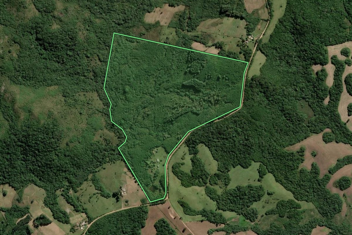 Imagem de satélite do imóvel rural em Amaral Ferrador (RS), com o contorno declarado no CAR desenhado por cima.