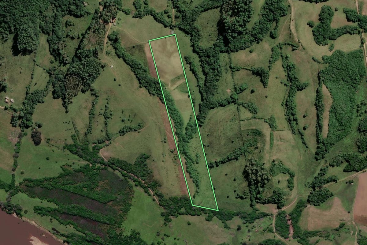 Imagem de satélite do imóvel rural em Amaral Ferrador (RS), com o contorno declarado no CAR desenhado por cima.