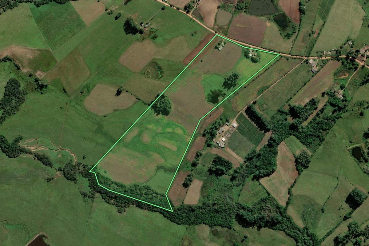 Imagem de satélite do imóvel rural em Amaral Ferrador (RS), com o contorno declarado no CAR desenhado por cima.