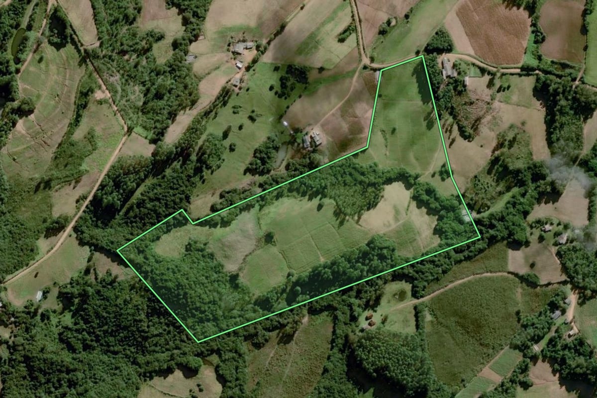 Imagem de satélite do imóvel rural em Amaral Ferrador (RS), com o contorno declarado no CAR desenhado por cima.