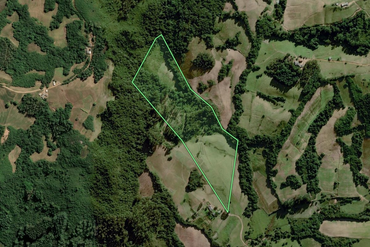Imagem de satélite do imóvel rural em Amaral Ferrador (RS), com o contorno declarado no CAR desenhado por cima.