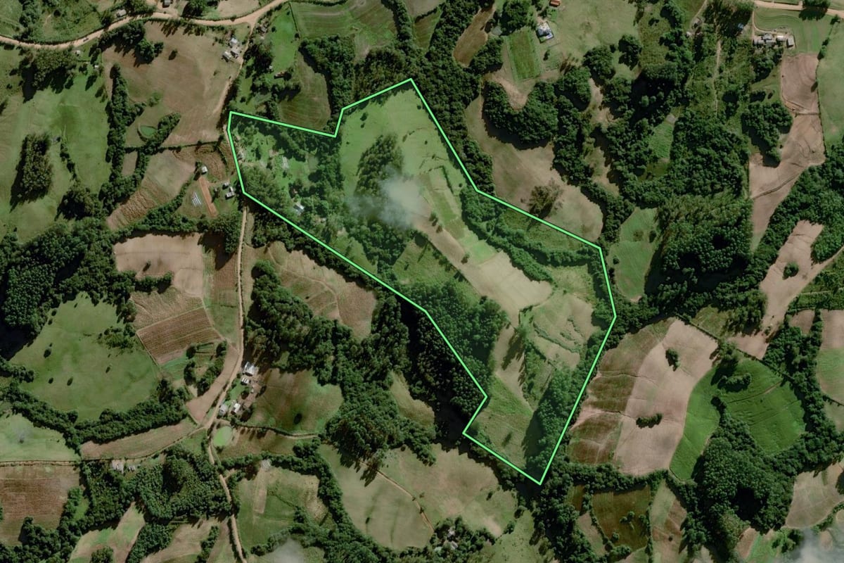 Imagem de satélite do imóvel rural em Amaral Ferrador (RS), com o contorno declarado no CAR desenhado por cima.