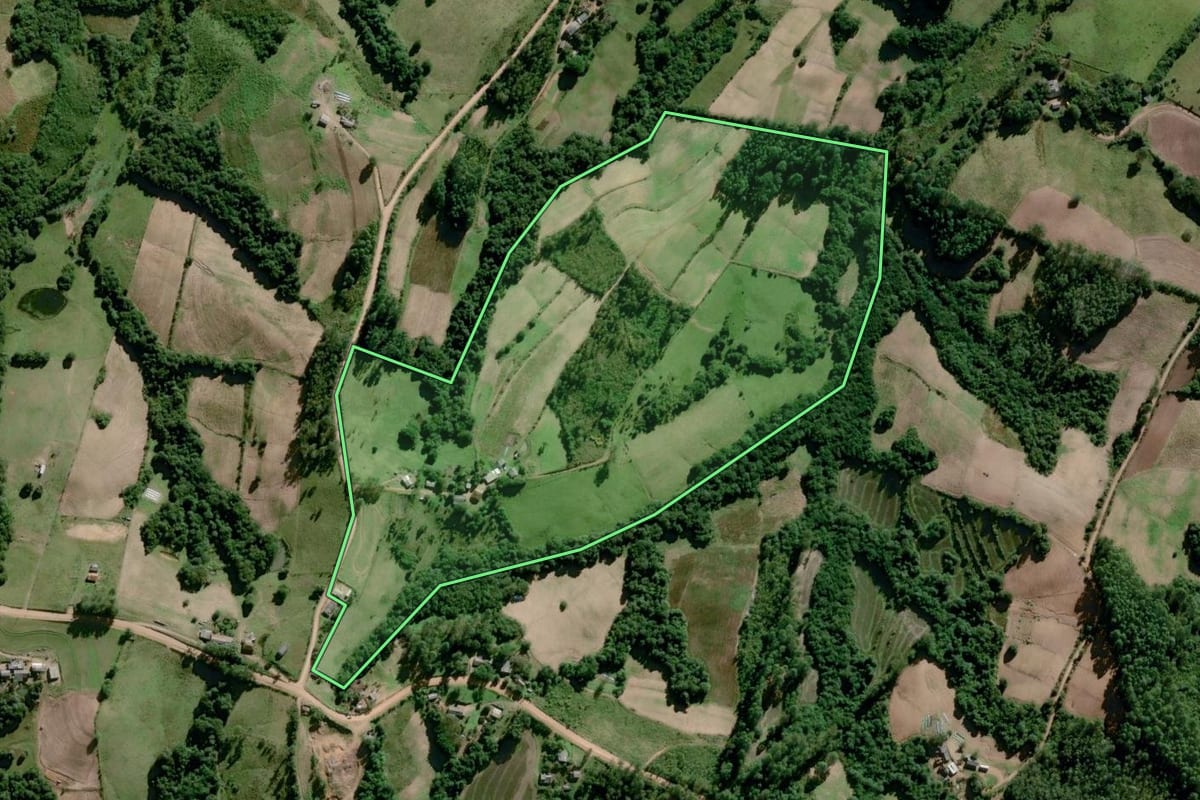 Imagem de satélite do imóvel rural em Amaral Ferrador (RS), com o contorno declarado no CAR desenhado por cima.