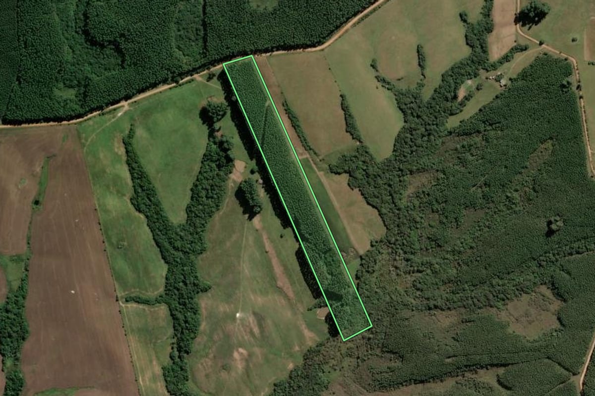 Imagem de satélite do imóvel rural em Amaral Ferrador (RS), com o contorno declarado no CAR desenhado por cima.