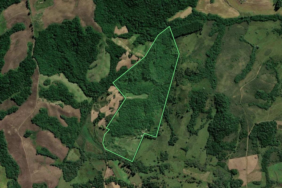 Imagem de satélite do imóvel rural em Amaral Ferrador (RS), com o contorno declarado no CAR desenhado por cima.