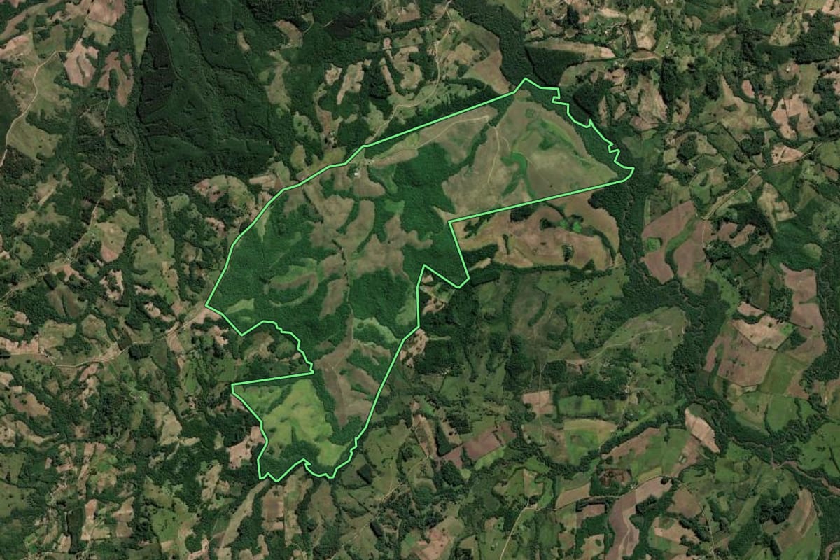 Imagem de satélite do imóvel rural em Amaral Ferrador (RS), com o contorno declarado no CAR desenhado por cima.