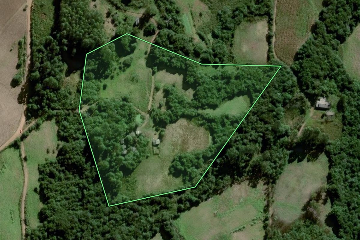 Imagem de satélite do imóvel rural em Amaral Ferrador (RS), com o contorno declarado no CAR desenhado por cima.