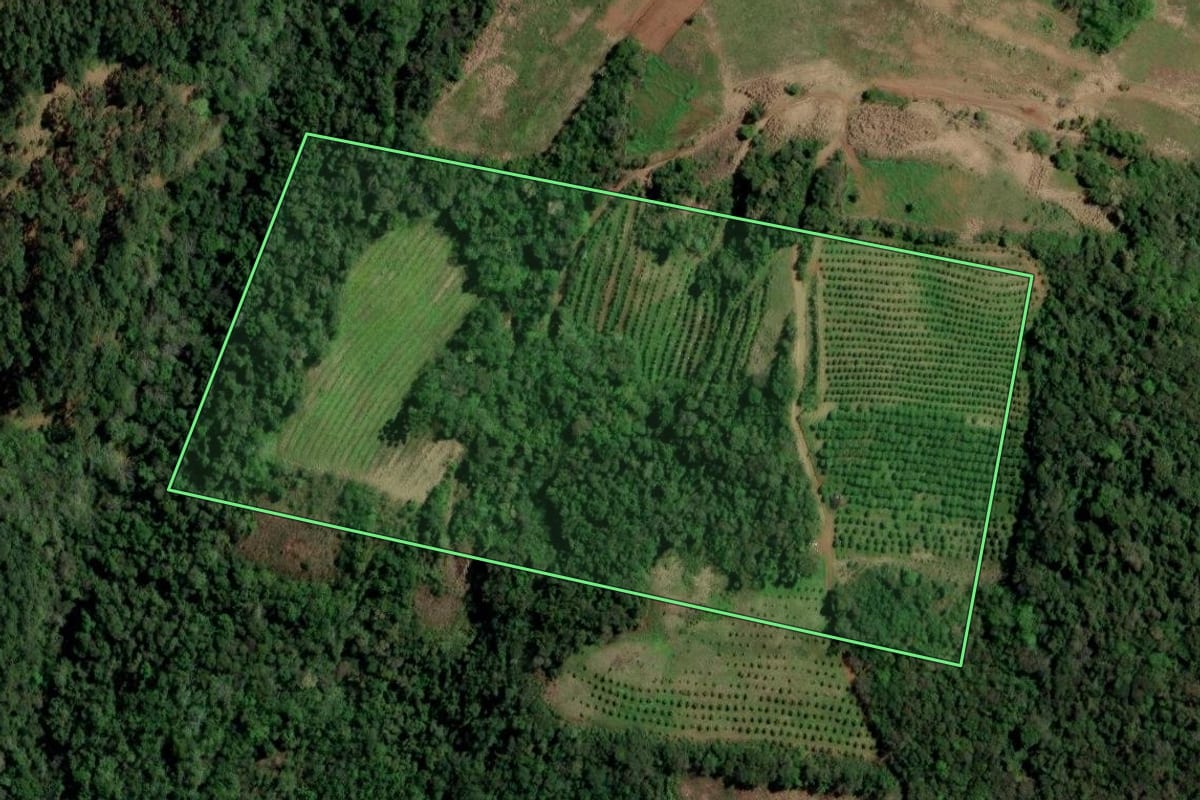Imagem de satélite do imóvel rural em Ametista do Sul (RS), com o contorno declarado no CAR desenhado por cima.