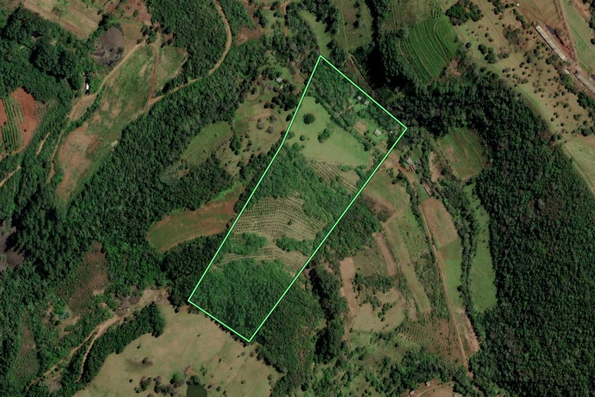 Imagem de satélite do imóvel rural em Ametista do Sul (RS), com o contorno declarado no CAR desenhado por cima.